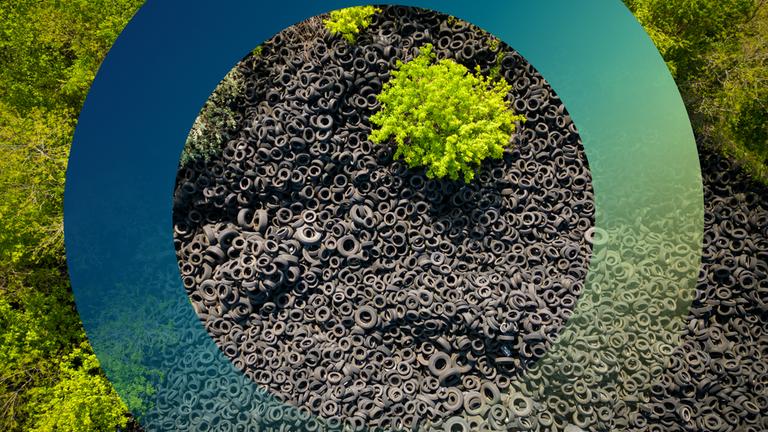 Reifenberg in Waldumgebung