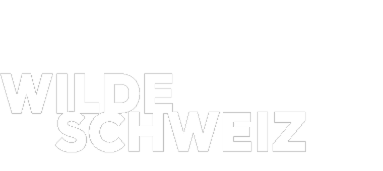 Wilde Schweiz Logo links
