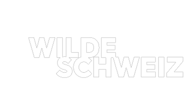 Wilde Schweiz Logo mittig