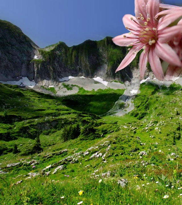 Wilde Schweiz Hero