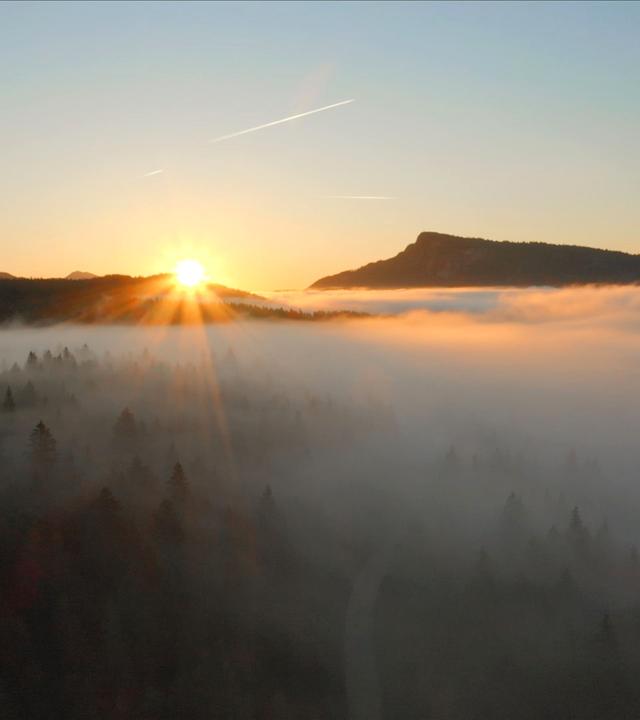 Wilde Schweiz_Jura_Sonnenaufgang im Vallée de Joux