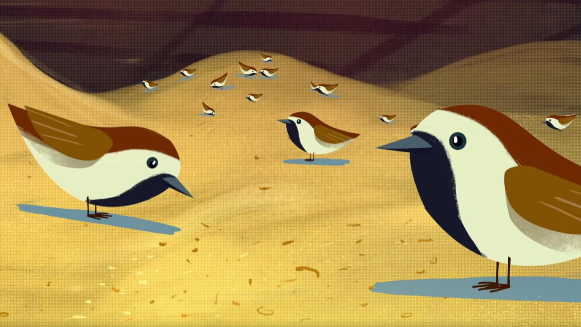 Spatzen als Illustration