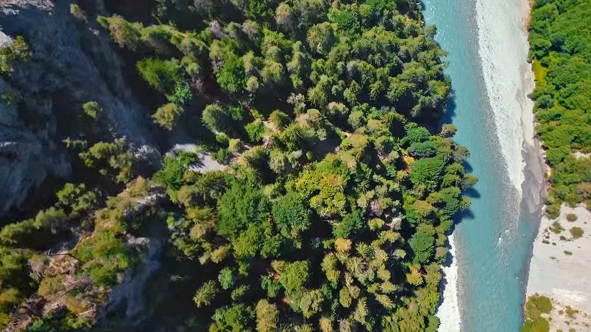 Der Rhein von oben