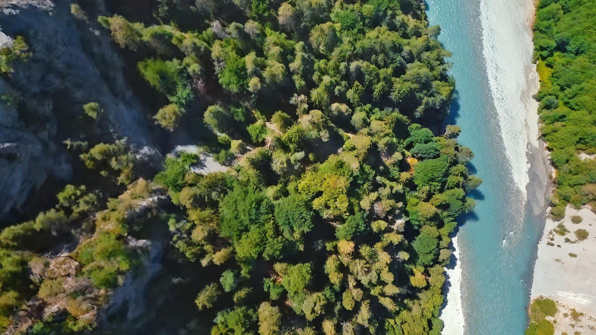 Der Rhein von oben