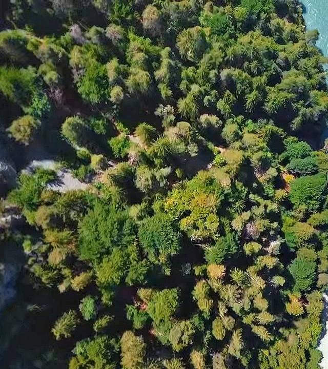 Der Rhein von oben