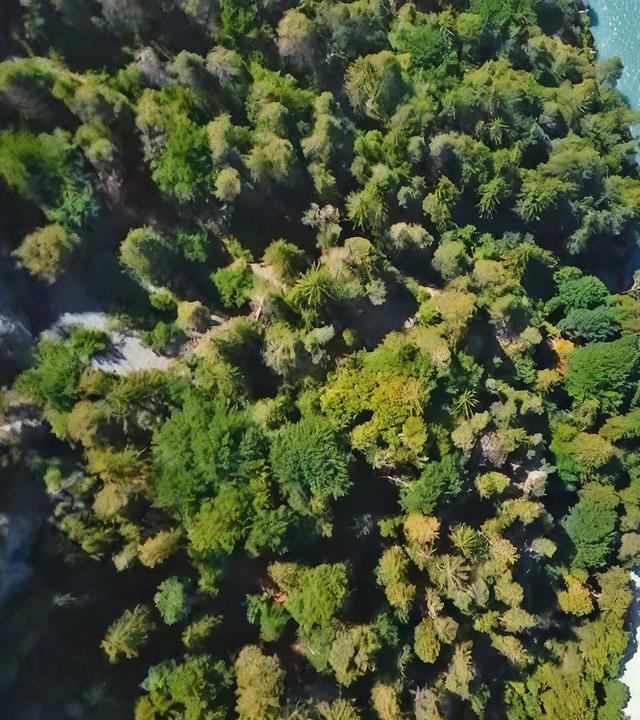 Der Rhein von oben
