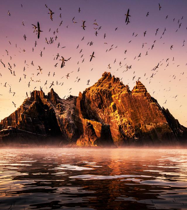 Die Insel "Little Skellig", Co. Kerry, Irland