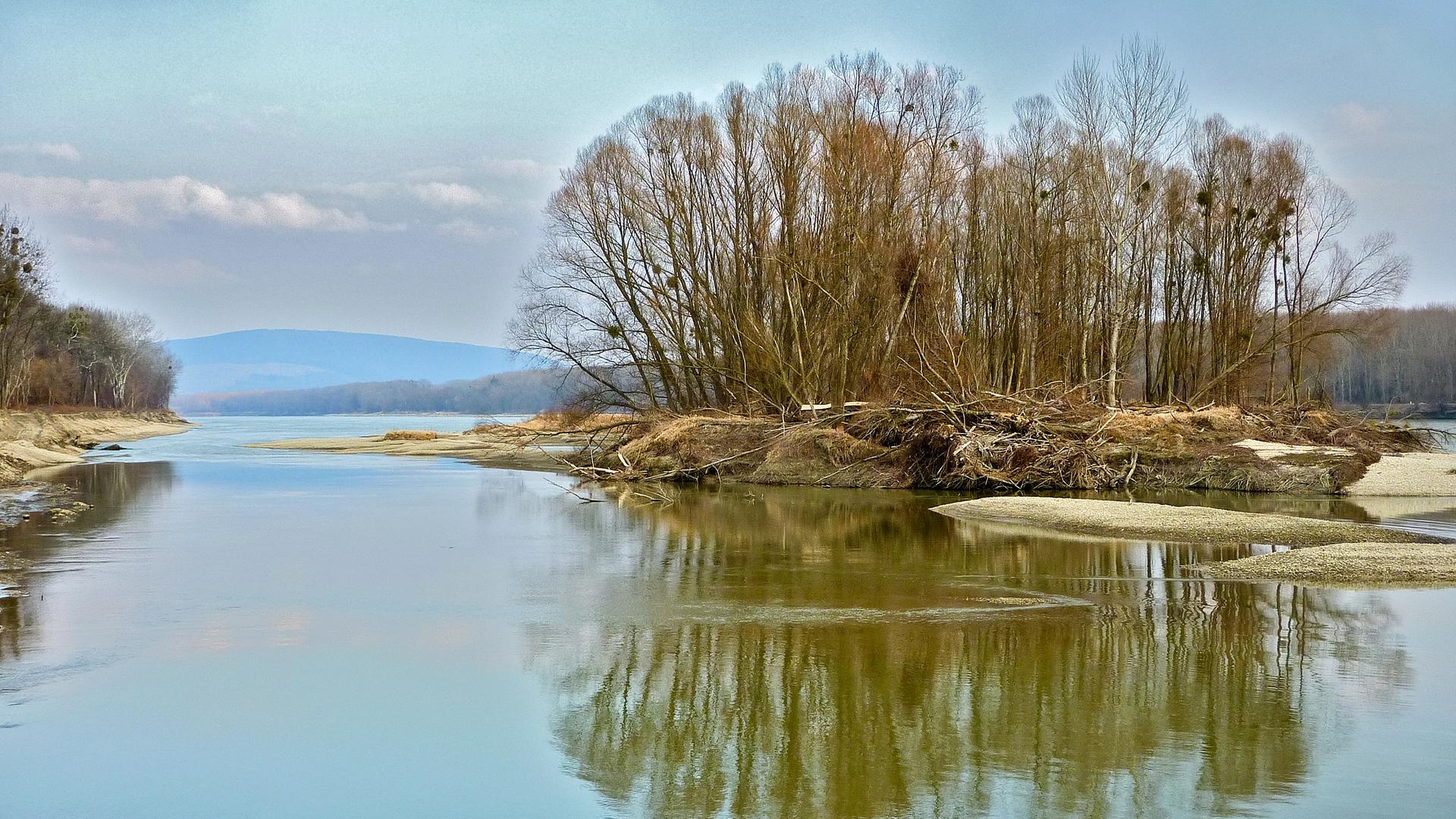 Blick auf eine Insel in der Donau mit Spiegelung