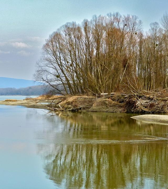 Blick auf eine Insel in der Donau mit Spiegelung