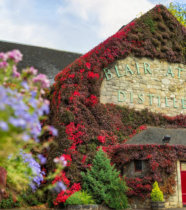 Ein bewachsenes Gebäude derBlair Athol Destillerie – Whiskybrennerei in Pitlochry, Schottland. Blumen im unscharfen Vordergrund.