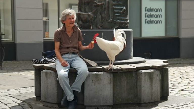Auf dem Bild ist eine Frau, Sibylle, neben einem Hahn zu sehen. Beide befinden sich auf einem Stadtbank. Willi, der Hahn, wird von Sibylle gefüttert