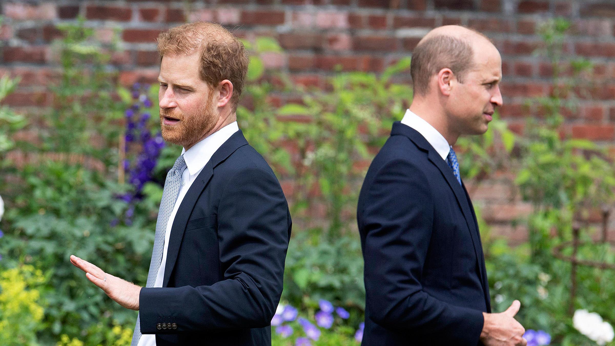 Prinz Harry und William stehen mit den Rücken zueinander.