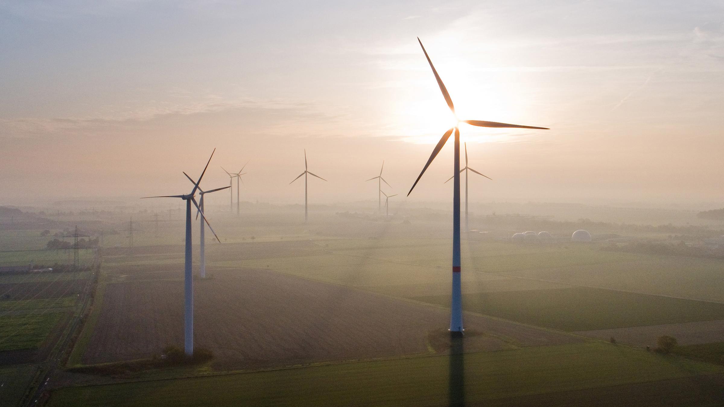 Wind energy is the second most important source of electricity after coal.