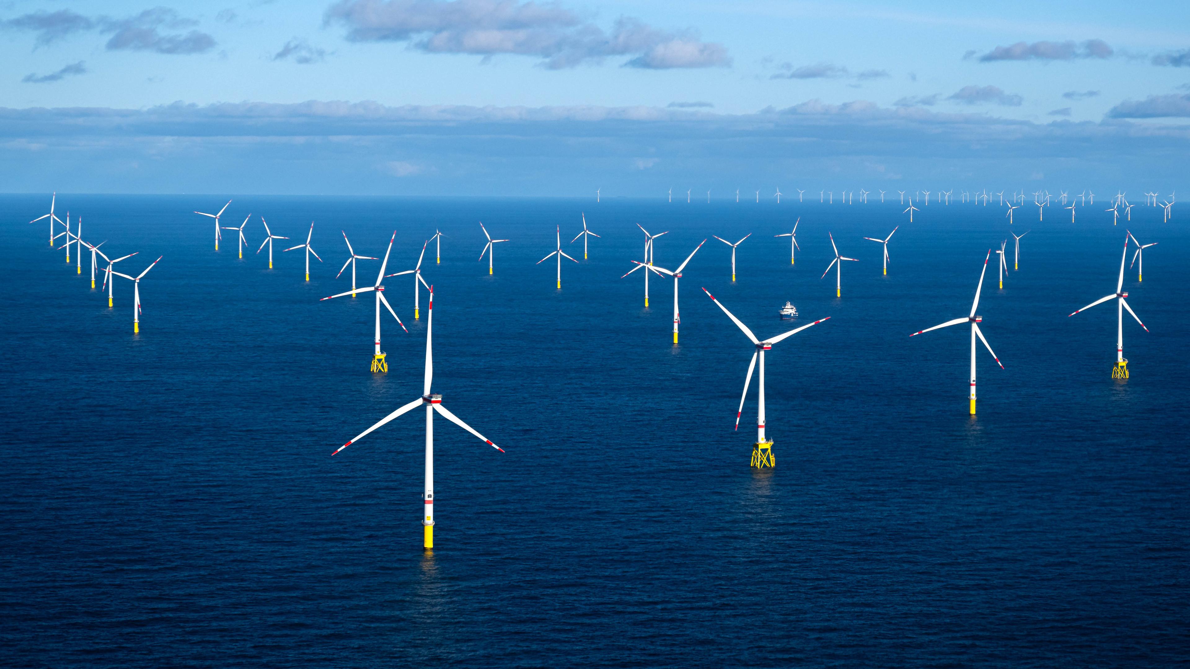 16.11.2023, Nordsee, --: Der Offshore-Windpark Dolwin Alpha.
