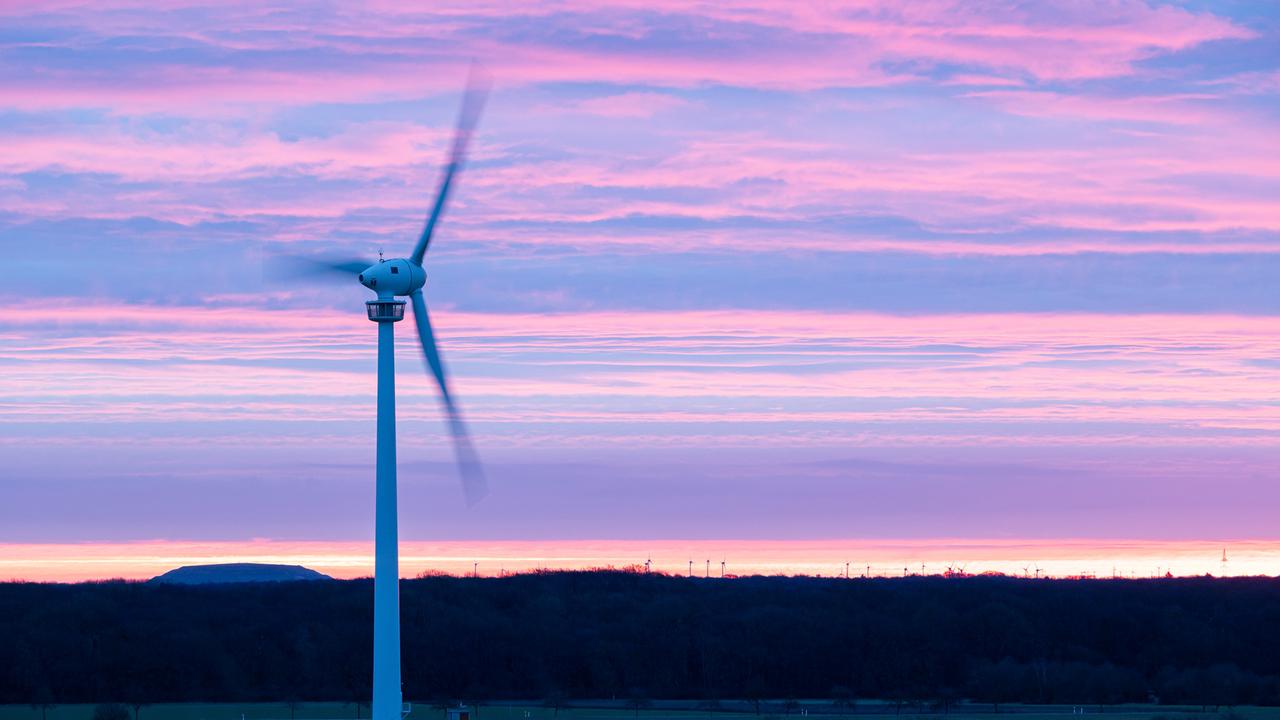 Gesetz für Windkraft: Bremst die Ampel die Energiewende aus?