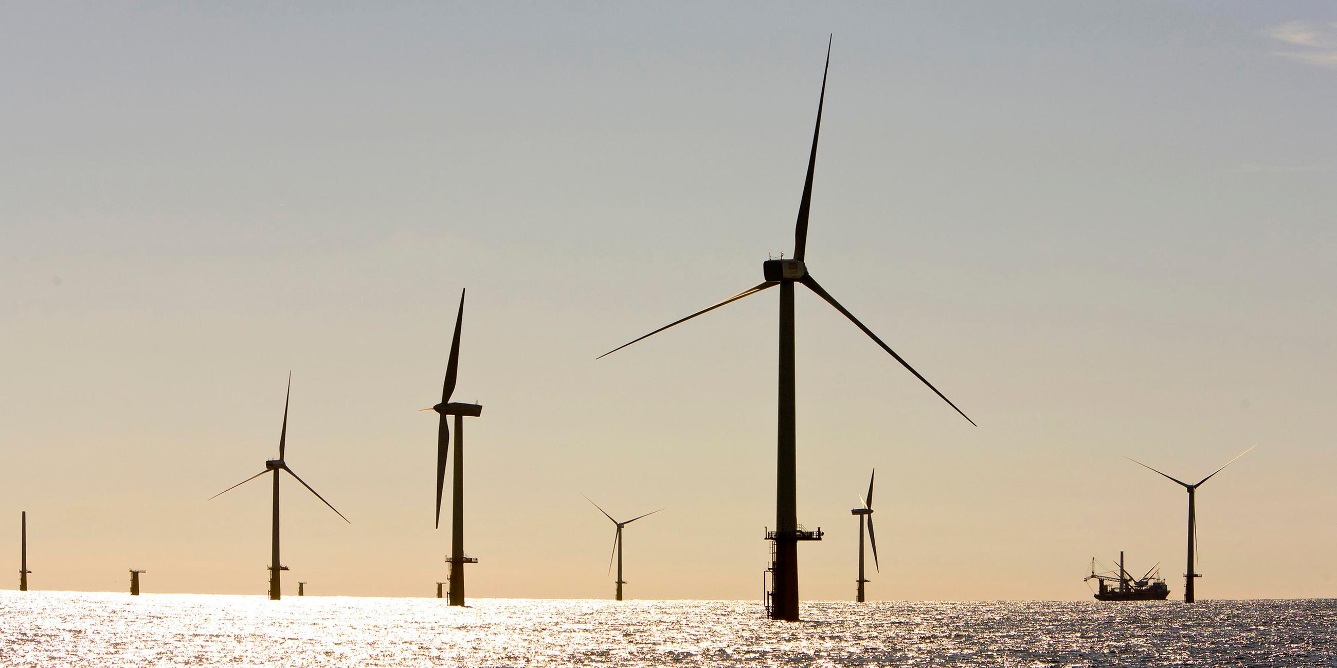 Zahlreiche Windmühlen eines Offshore-Windparks im Meer.