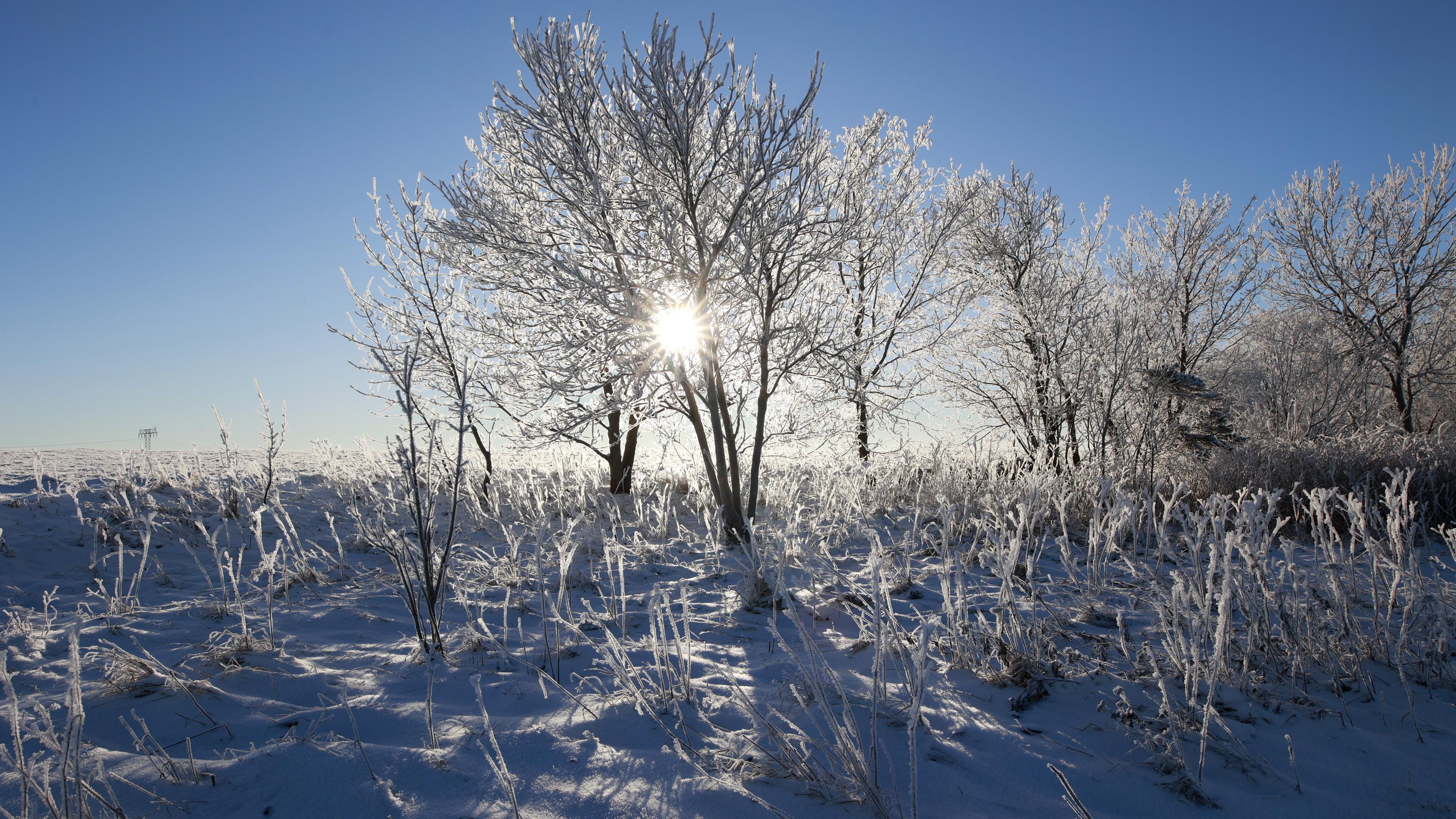 Frostiges Wetter und Sonnenschein im Oberharz, aufgenommen am 09.01.2024