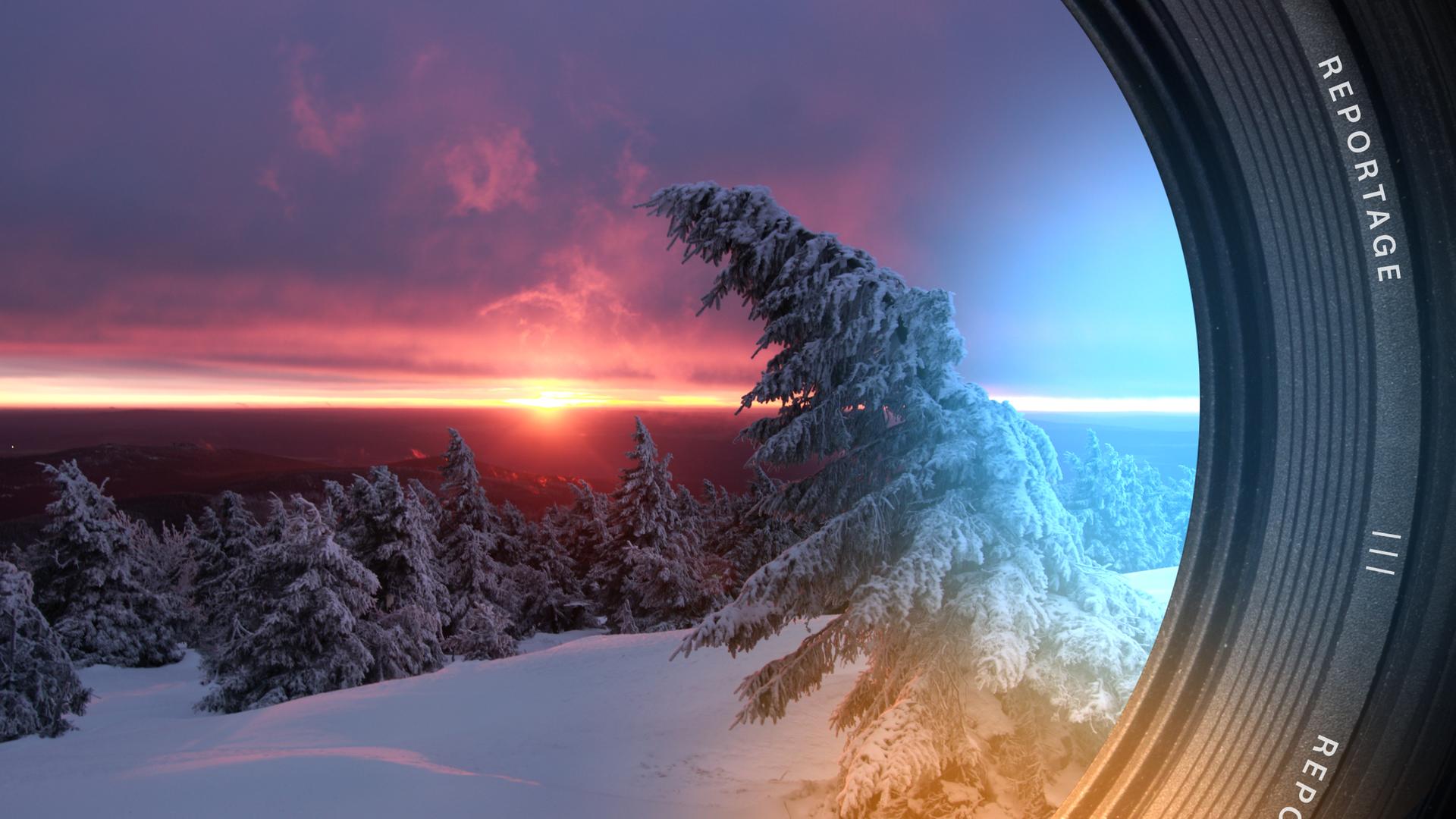 Eine schneebedeckte Landschaft mit schiefen Tannen, getaucht in das Licht der untergehenden Sonne.