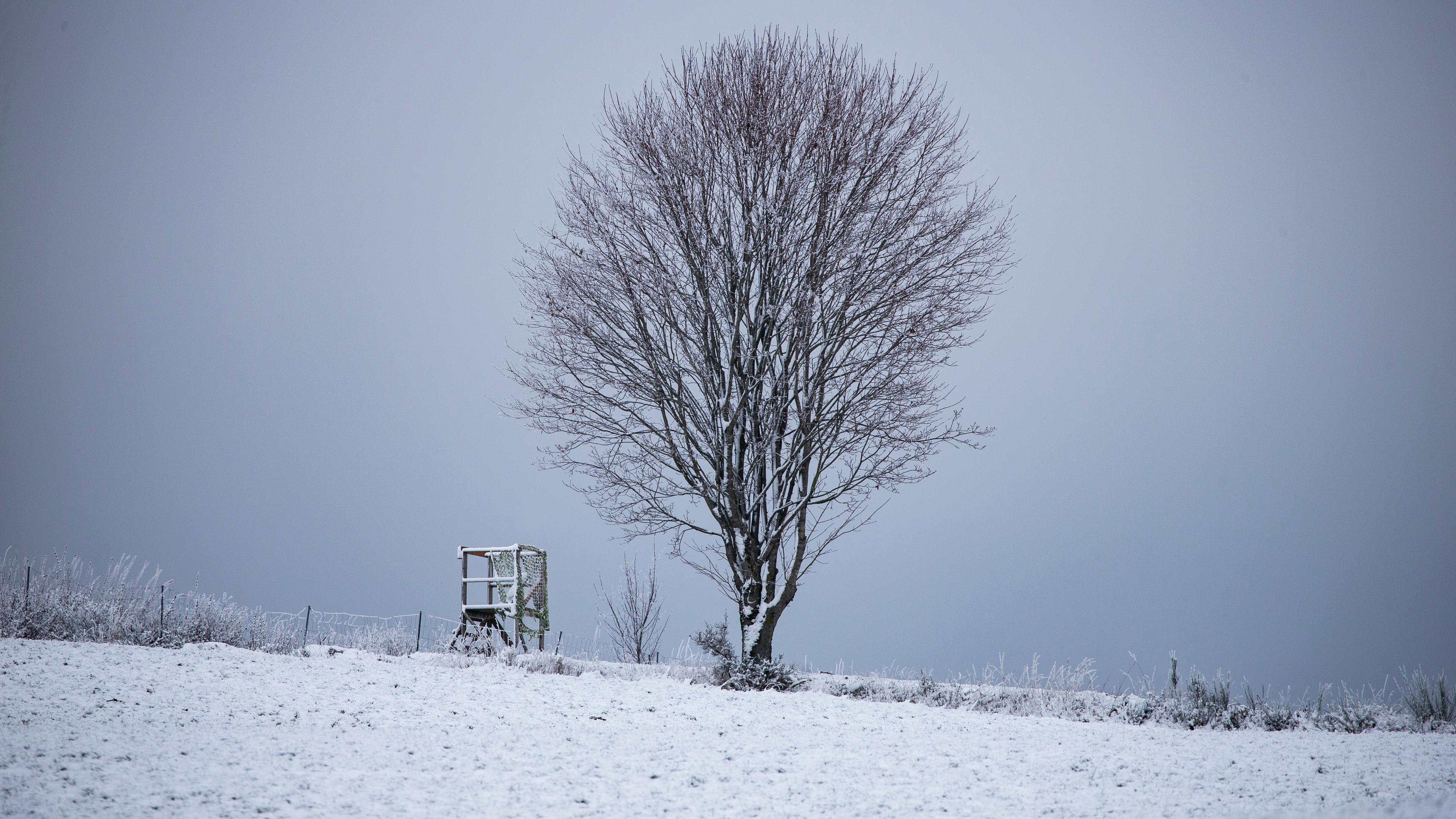 Ein mit Schnee bedeckter Baum und ein Hochsitz 