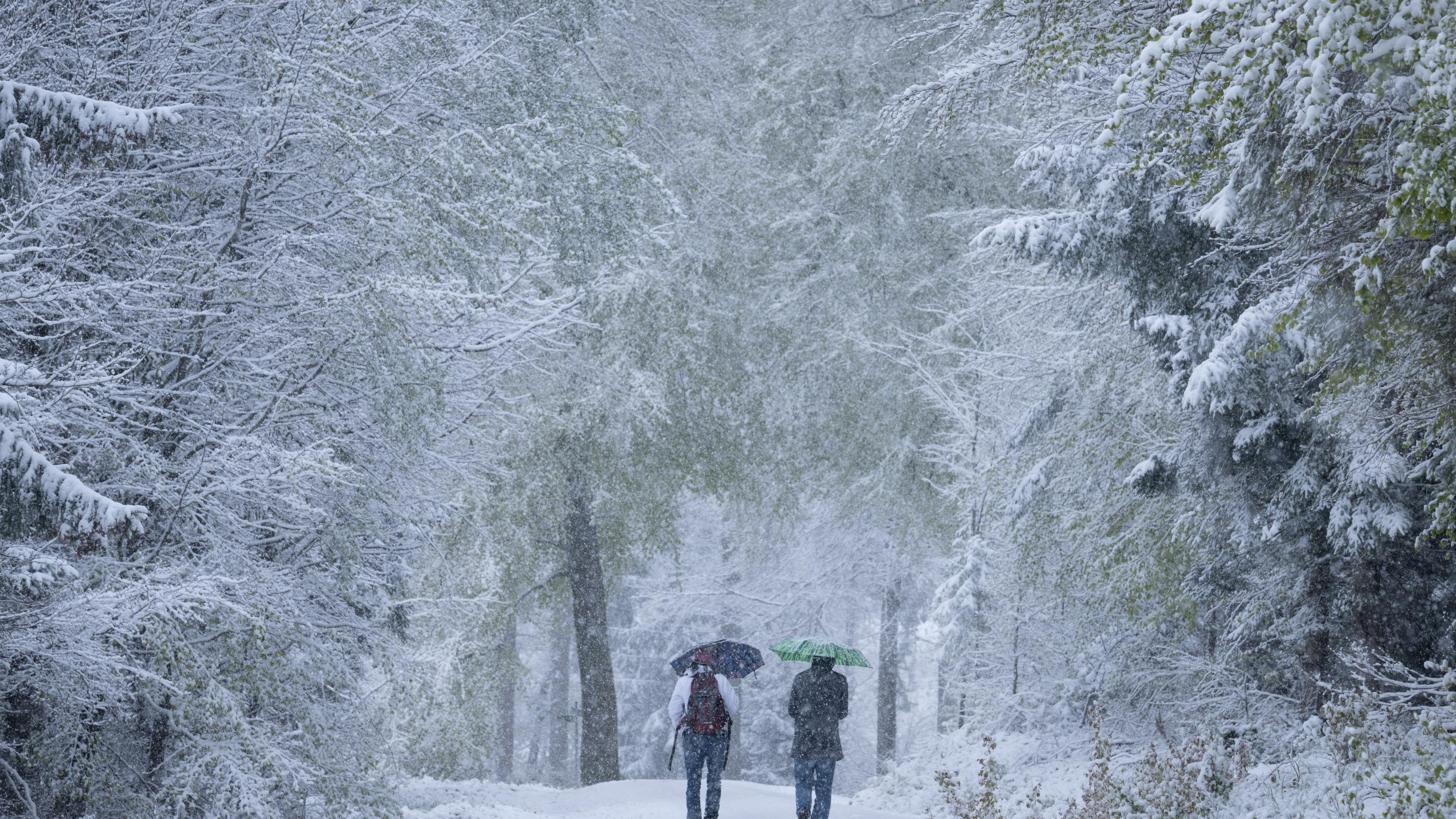 Spaziergänger laufen über einen verschneiten Wanderweg im Taunus. 