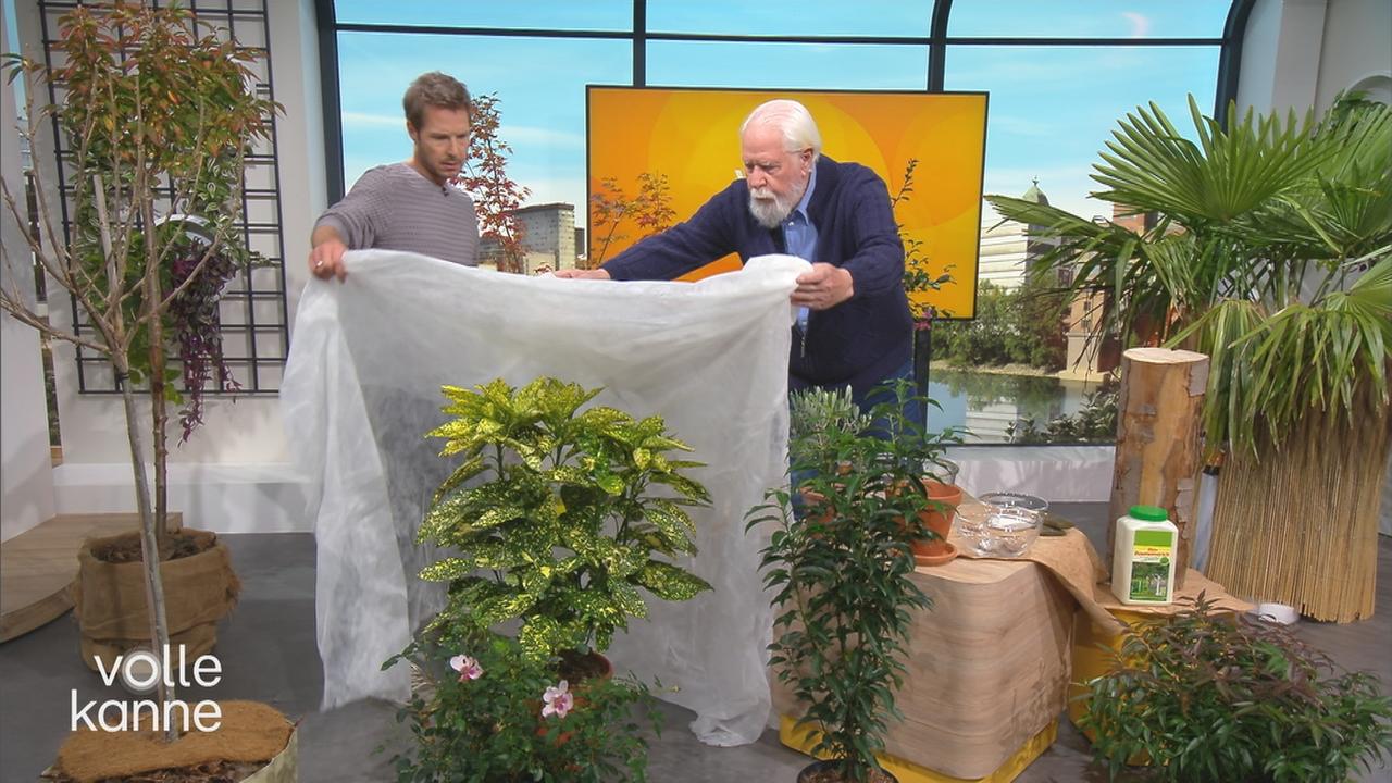 Wintervlies Für Pflanzen, 30 G/m² – 3 X 5 M (15 M²) Frostschutz Für Gemüse, Blumen & Sträucher