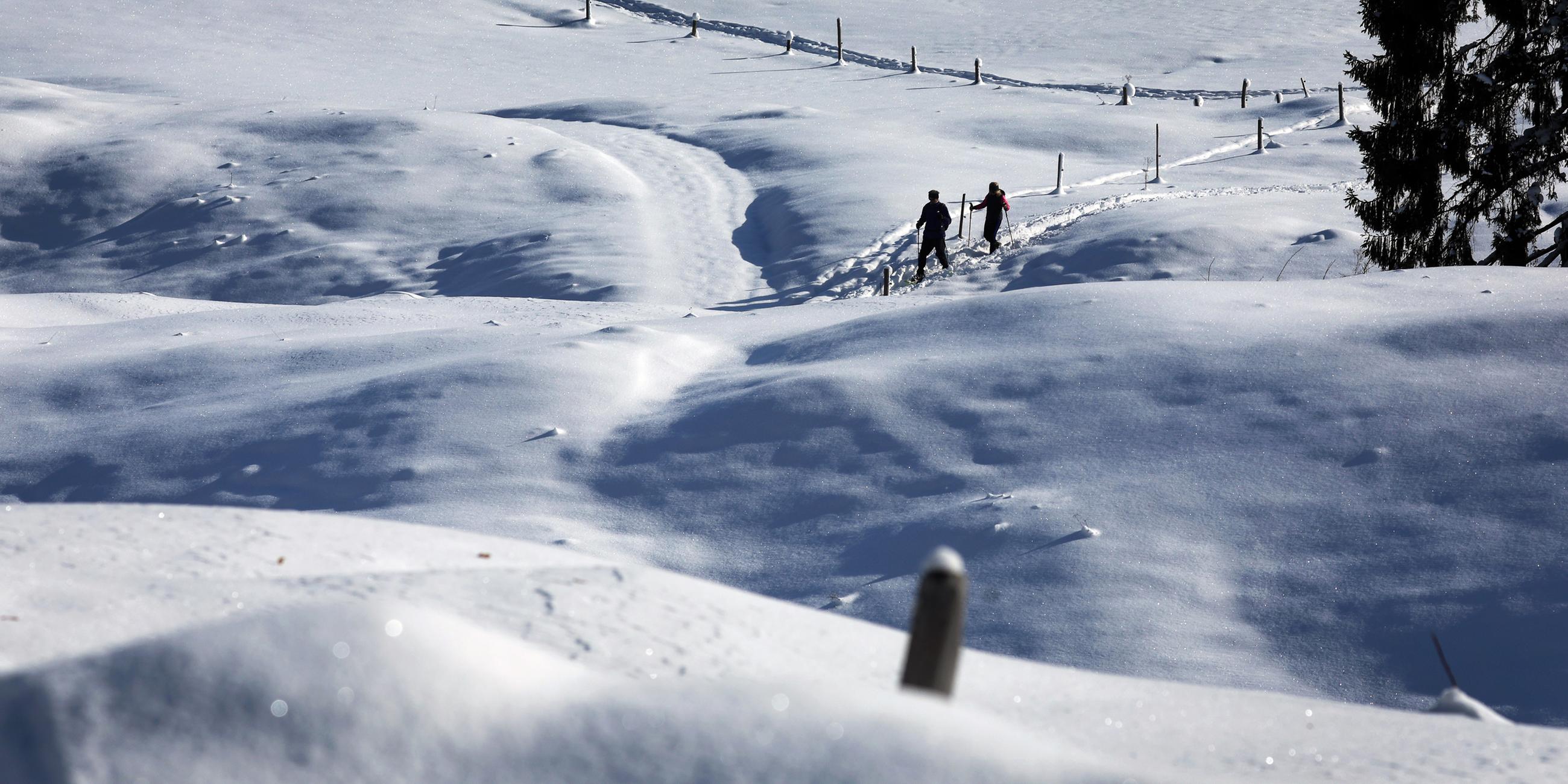 Schneeschuhwanderer gehen im Sonnenschein durch die tief verschneite Landschaft.