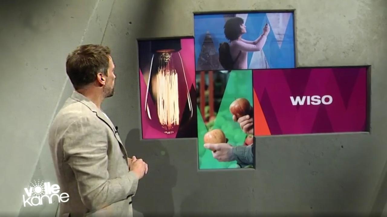 Wiso Sendung
