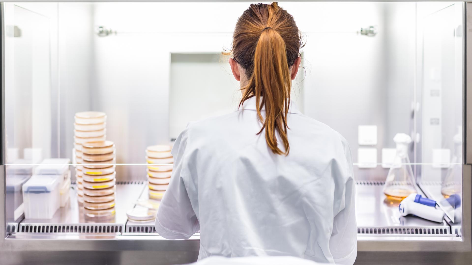 Wissenschaftlerin - von hinten zu sehen - bei Arbeiten im Labor.