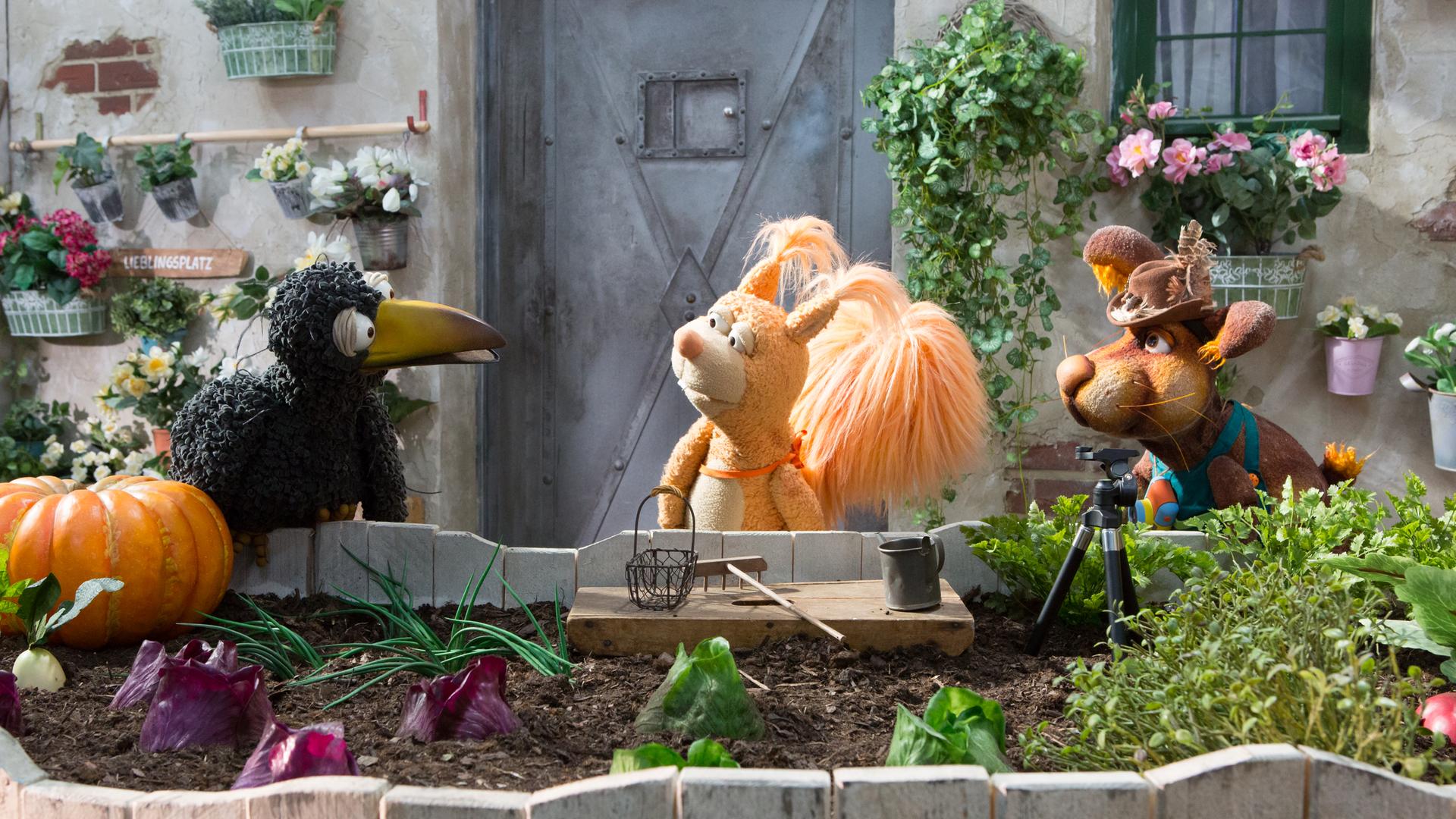 Rabe Rudi, Eichhörnchen Ella und Otto stehen vor den Beeten und beraten sich. Neben Otto steht ein Kamerastativ.