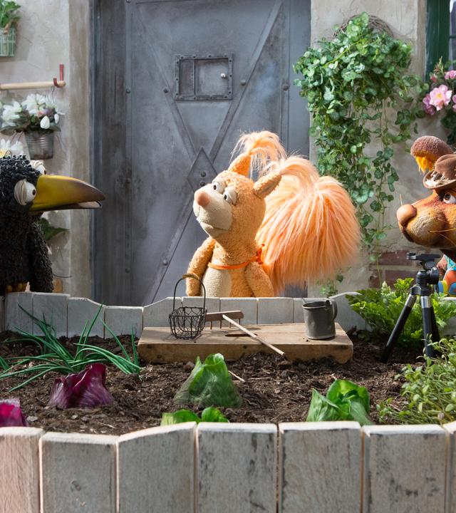 Rabe Rudi, Eichhörnchen Ella und Otto stehen vor den Beeten und beraten sich. Neben Otto steht ein Kamerastativ.
