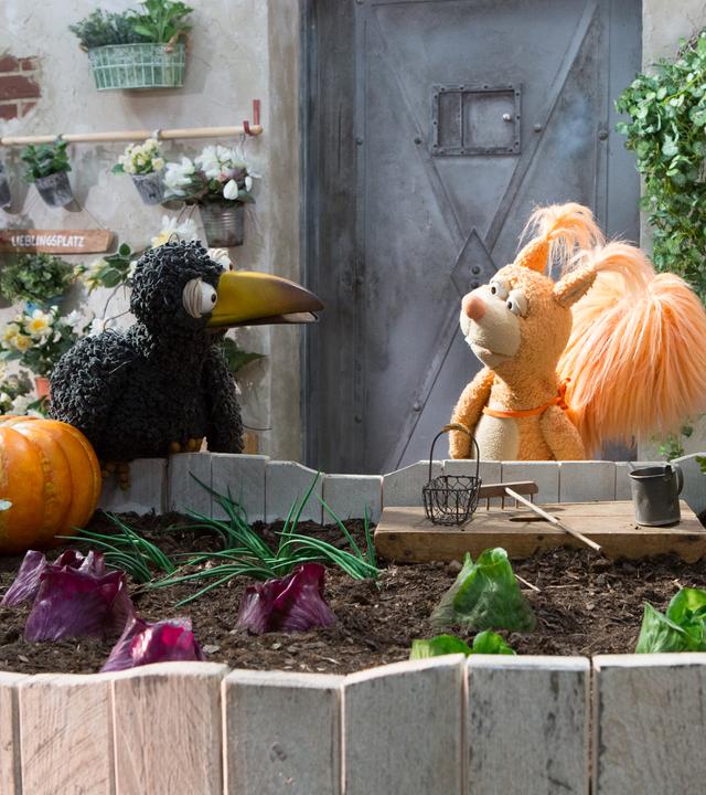 Rabe Rudi, Eichhörnchen Ella und Otto stehen vor den Beeten und beraten sich. Neben Otto steht ein Kamerastativ.