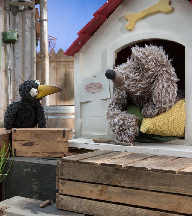 Rabe Rudi und Hund Buffo schauen sich vor Buffos Hundehütte an.