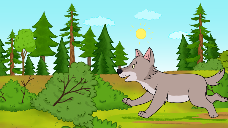 Ein Wolf läuft über eine Wiese im Wald