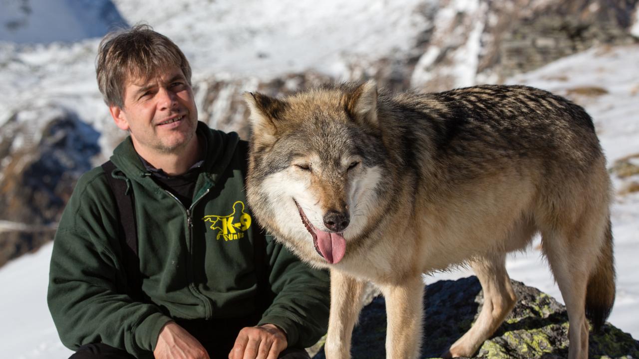 Die Odyssee der einsamen Wölfe (2/2) - ZDFmediathek