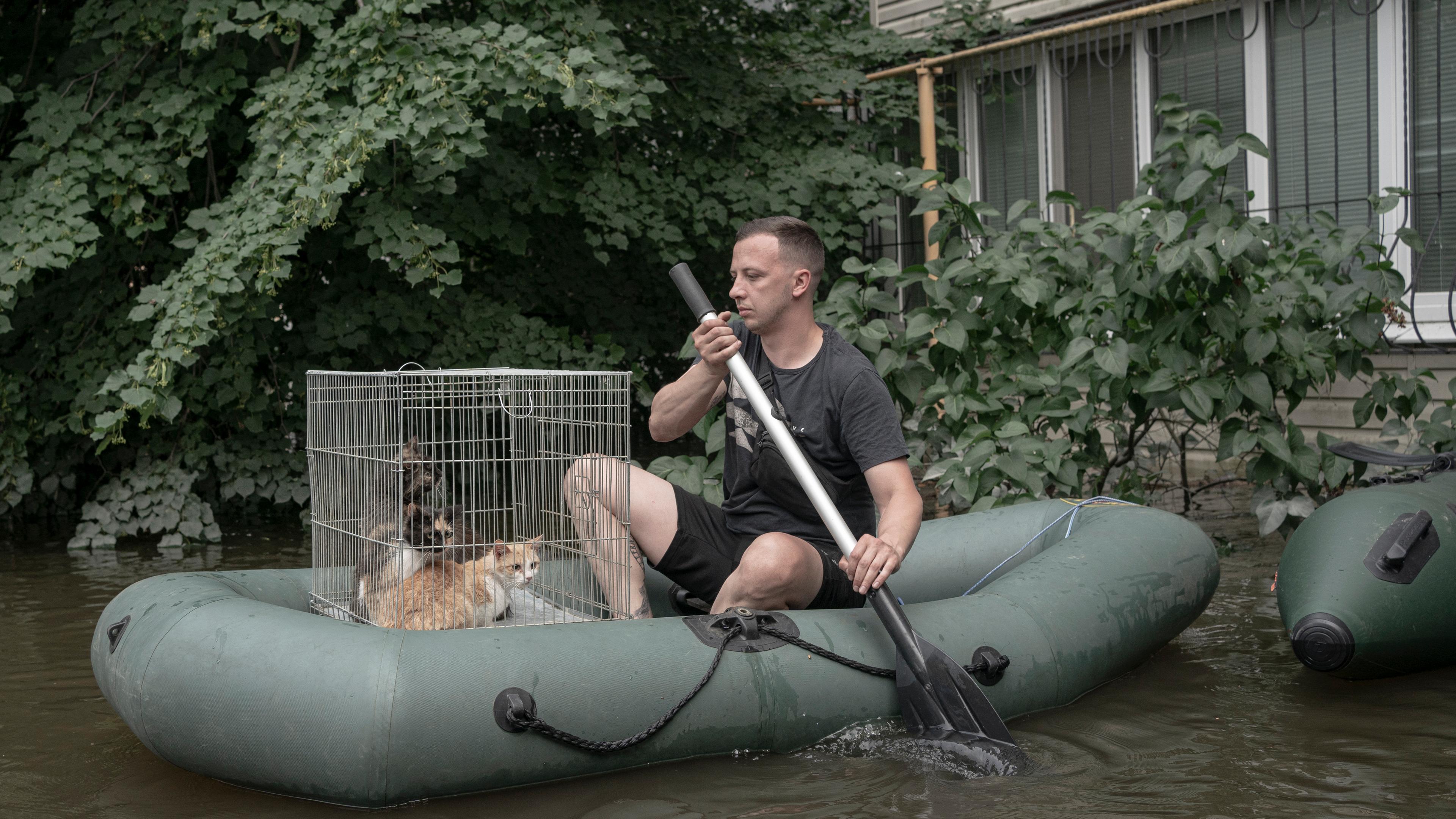 Ein Mann auf einem Schlauchboot mit Katzen in einem überfluteten Gebiet in der . (9. Juni 2023) 