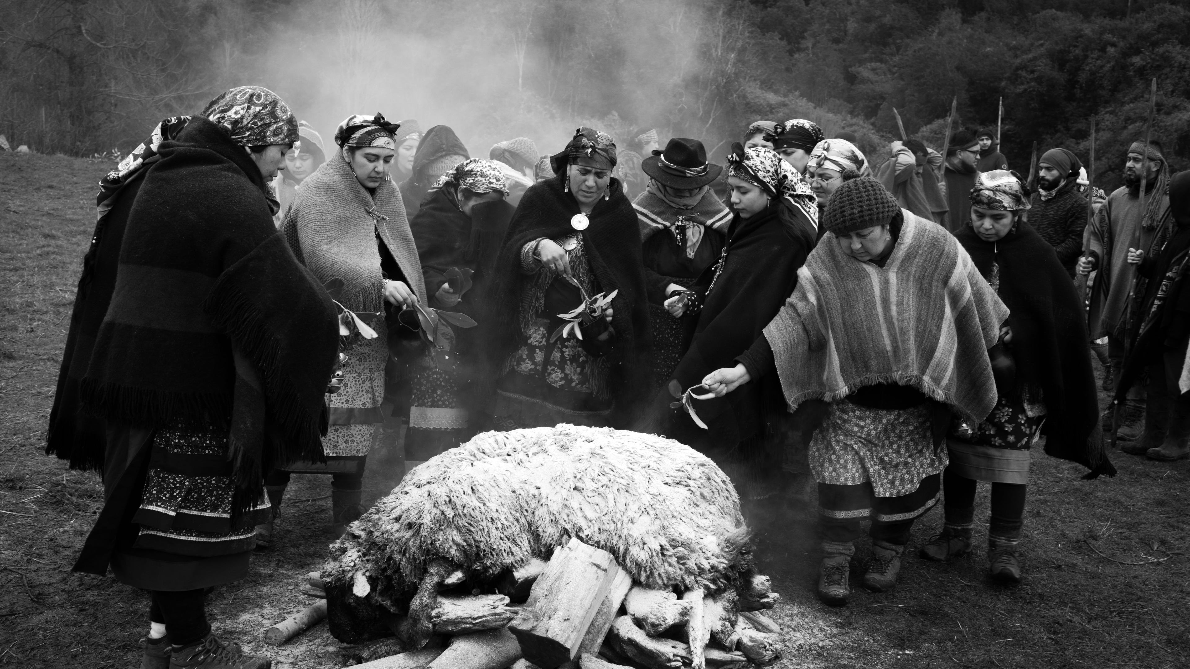 Mapuche-Frauen opfern ein Lamm auf einem Feuer in Maihue, Los Ríos, Chile. (26. Juni 2023)