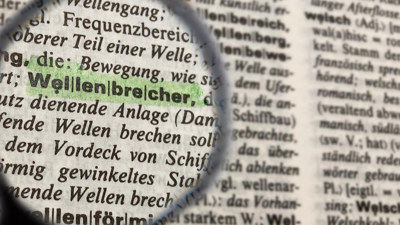"Wellenbrecher" ist Wort des Jahres