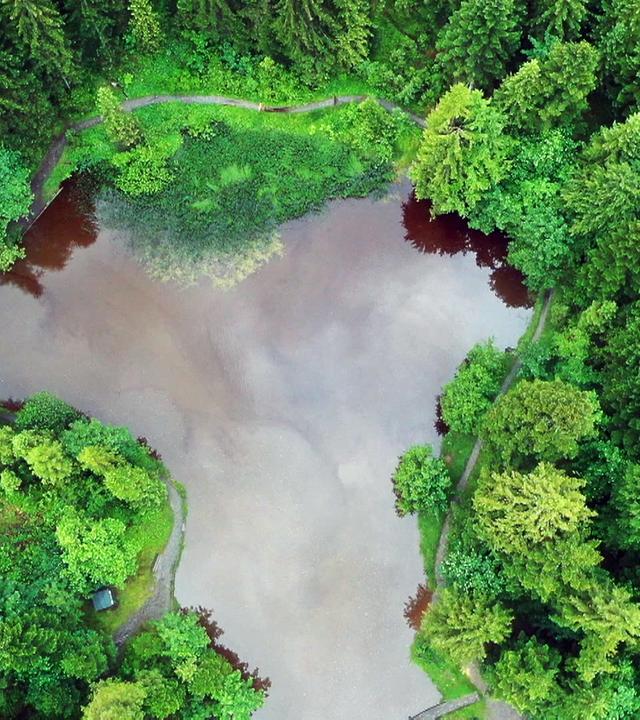 Der Wald als Wasserspeicher