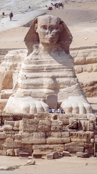 Der Große Sphinx von Gizeh unter einem klaren blauen Himmel.