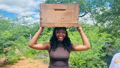 Auslandsjournal-Reporterin Sarah Danquah mit einem Bienenkasten auf dem Kopf bei einem Imker in Brasilien (Youtube-Kanal)