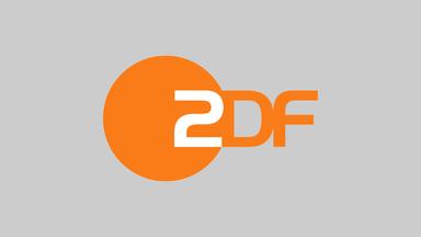 Das ZDF-Logo in Orange vor grauem Hintergrund