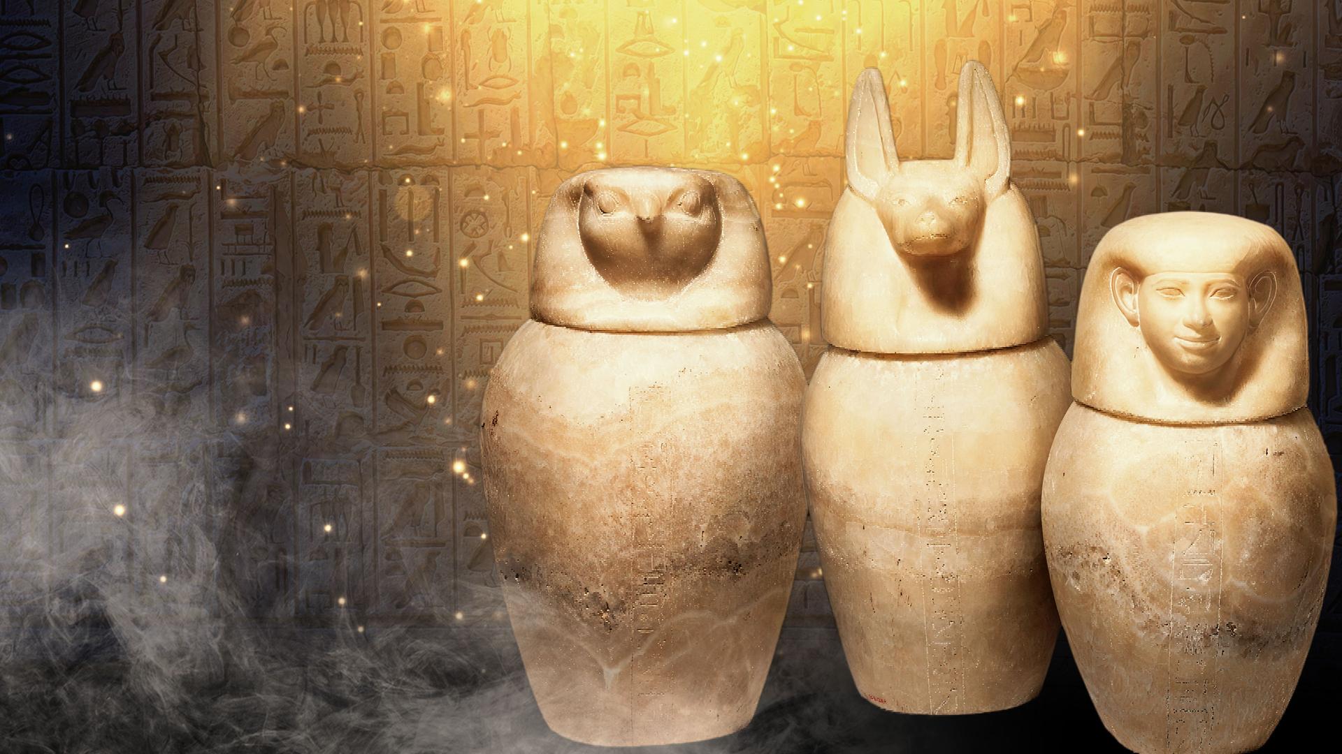 Bild für Die Kunst der Mumifizierung