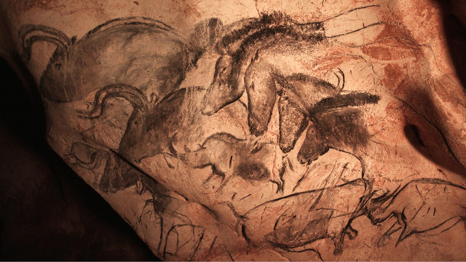 Zeichnungen von Pferden und büffelähnlichen Tieren in schwarz befinden sich auf einer unebenen Felswand.