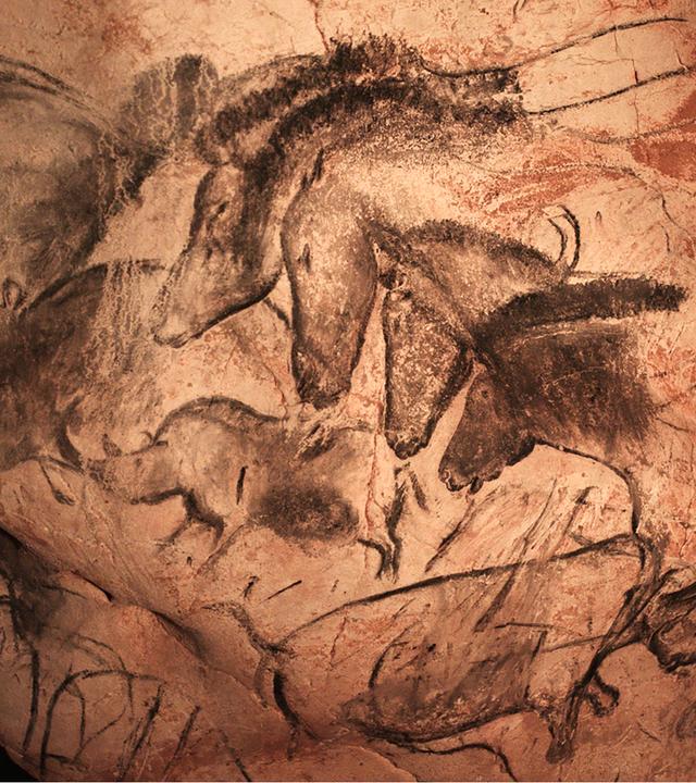 Zeichnungen von Pferden und büffelähnlichen Tieren in schwarz befinden sich auf einer unebenen Felswand.