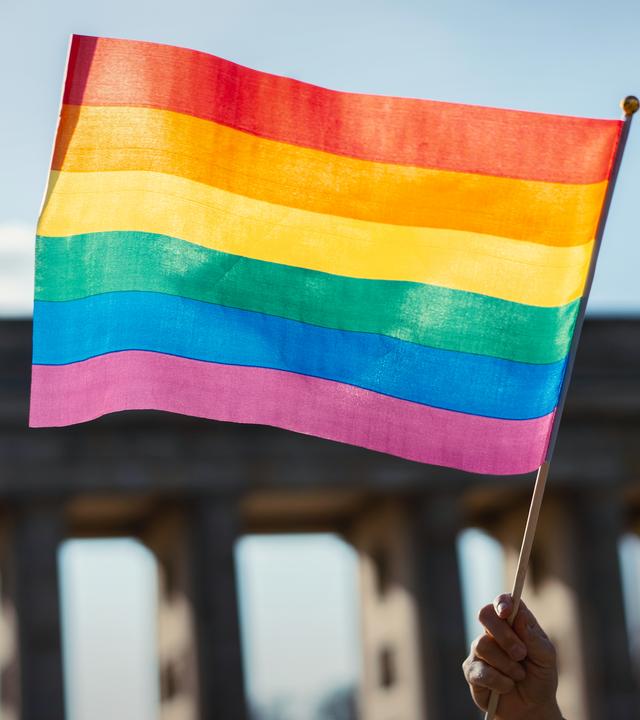 EIne Hand schwenkt eine Regenbogenfahne vor dem Brandenburger Tor.