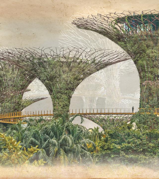 Supertree Grove in Singapur im Look der Dokureihe