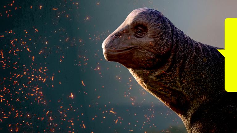 HERO: Im Schatten der Dinos - Die ersten Säugetiere