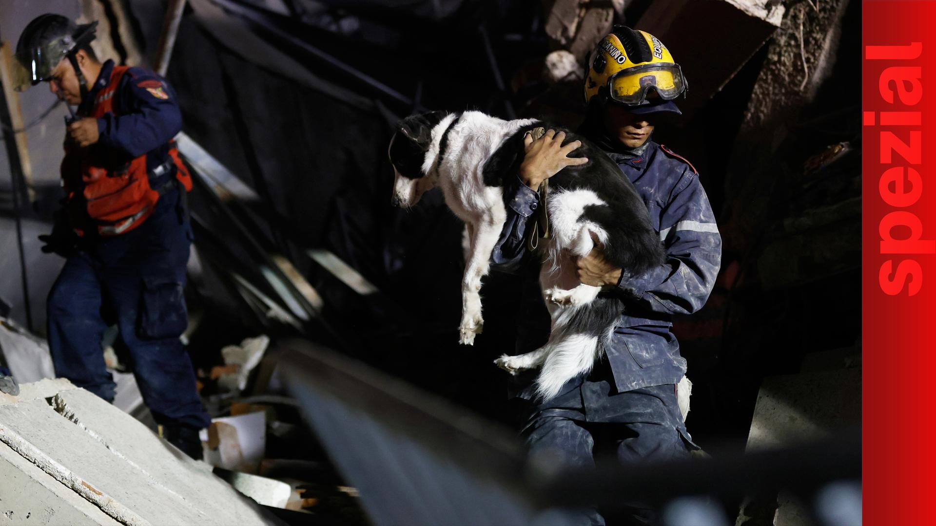 Ein Feuerwehrmann rettet einen Hund aus einem zusammengebrochenen Gebäude nach dem Erdbeben in Caracas, Venezuela.