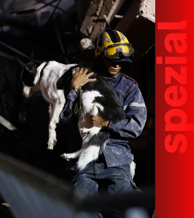 Ein Feuerwehrmann rettet einen Hund aus einem zusammengebrochenen Gebäude nach dem Erdbeben in Caracas, Venezuela.