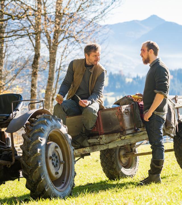 "Der Bergdoktor: Zeit der Wölfe (2)": Auf der Wiese sitzt Mario (Nicholas Reinke) auf dem Traktor. Sein Halbbruder Philipp (Tino Mewes) steht neben ihm.